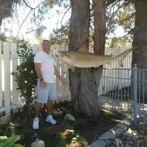 Meet your Posher, Bobby